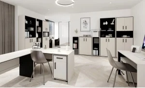 Amenajare Birou "Stil Modern Minimalist"