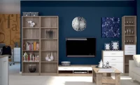 Dulap Nepo cu 2 Usi 2