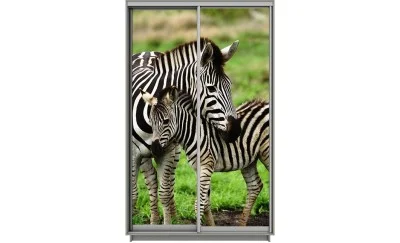 Dulap Print 2 Usi 266, L100 x H220 x A60