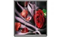 Dulap Print 3 Usi 1805, L270 x H220 x A60