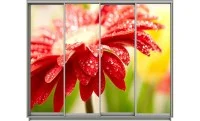 Dulap Print 176 / L330 x H220 x A60