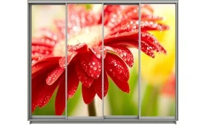 Dulap Print 176, L280 x H240 x A60