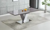 Set Masă Living Extensibilă KJT384 Gri cu 6 Scaune KJC385 Gri 1