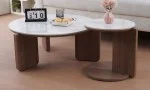 Set 2 Măsuțe de Cafea CT0110 LC  Alb/Nuc
