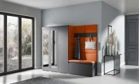Cuier Hol Max 15, Grafit/ Portocaliu - Trinity 25