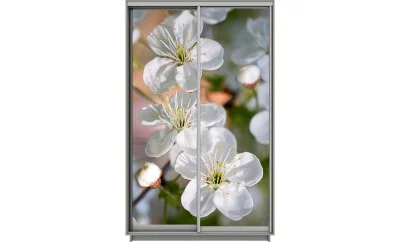 Dulap Print 2 Usi 2073, L100 x H220 x A60