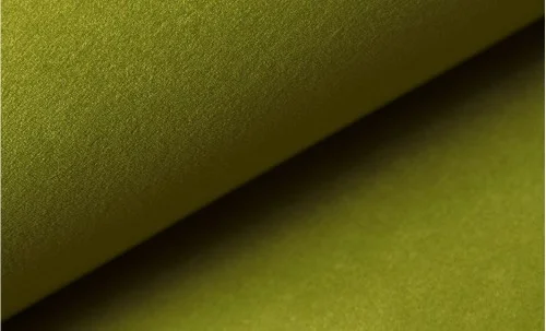 Canapea Extensibilă Claudia Bonell Mini, Verde masliniu