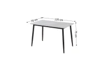 Set Masă Living cu 4 Scaune KJD6314 Gri